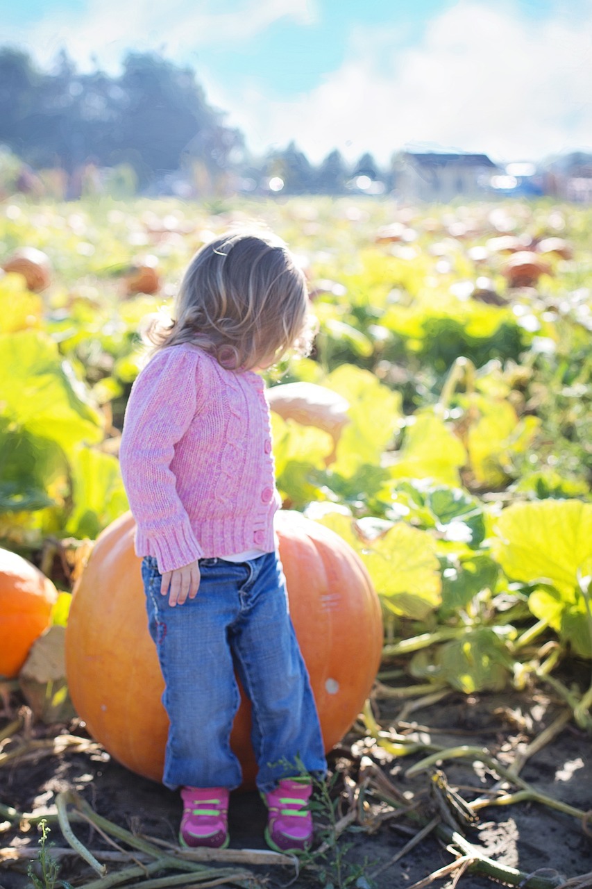 Pumpkin Patches near Albany, OR, Corvallis, OR, Lebanon, OR, and Sweet Home, OR