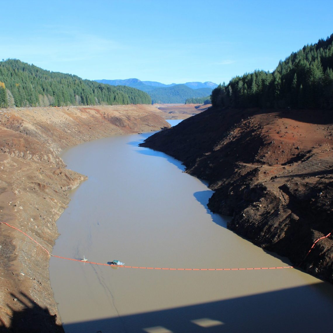 Green Peter Dam Draw-down